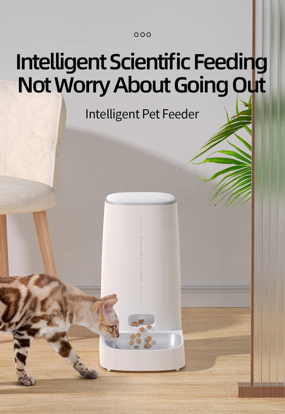 Comedero automático inteligente para gatos ROJECO – Dispensador de comida para mascotas con WiFi, temporizador, control por aplicación y grabación de voz (capacidad de 4 litros)